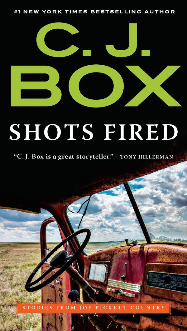 Shots Fired Book Cover