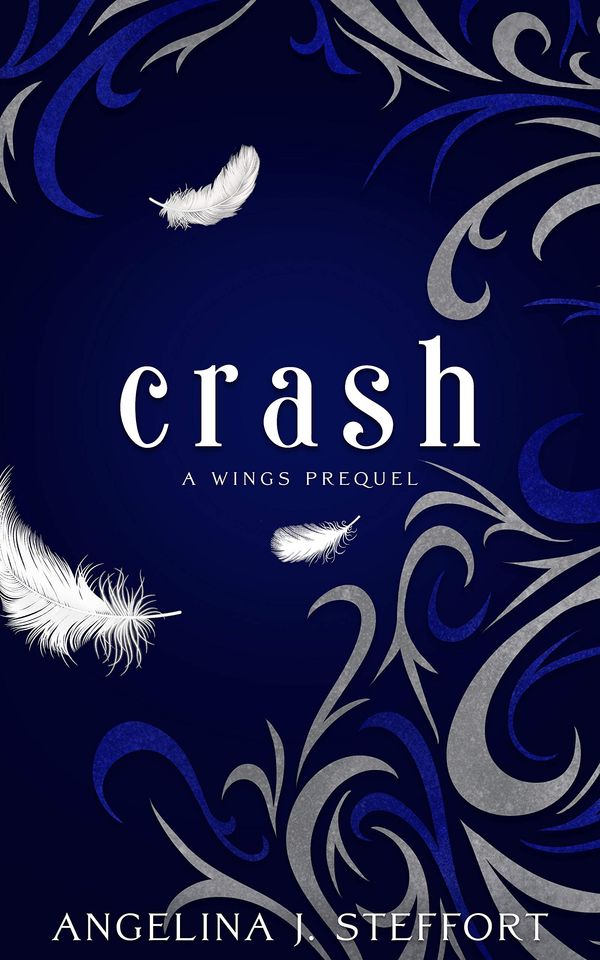 Crash Book Cover