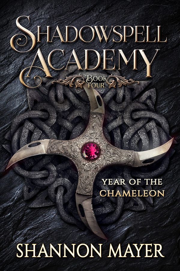 Year of the Chameleon Book 1 Book Cover