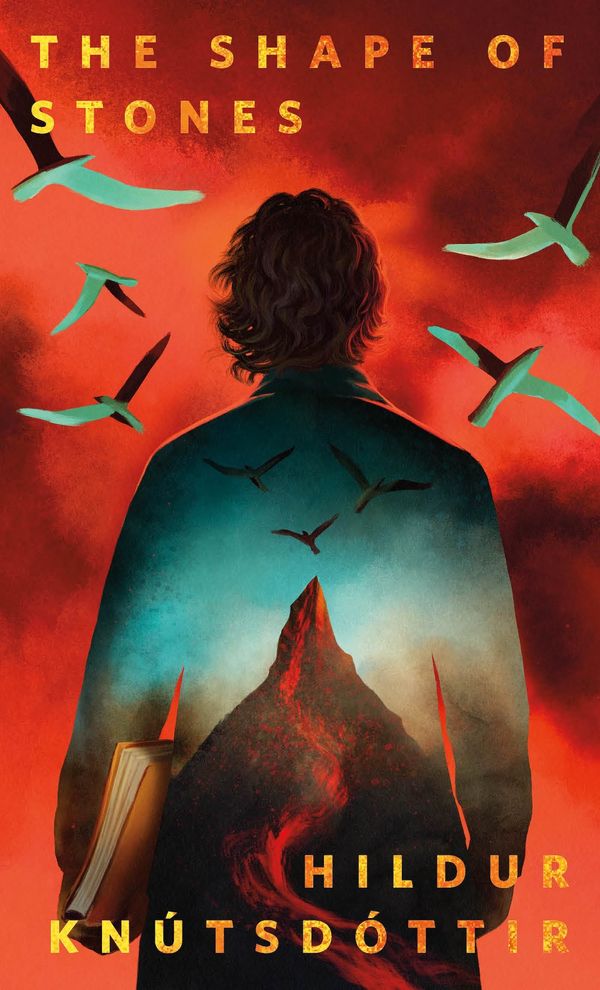 The Shape of Stones Book Cover