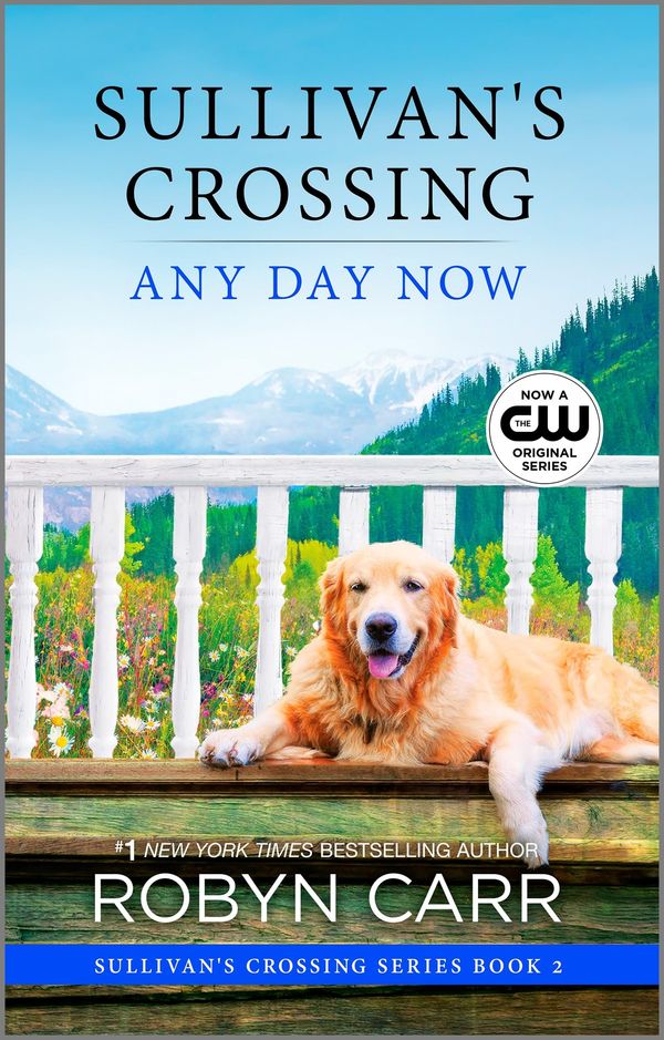 Any Day Now Book Cover