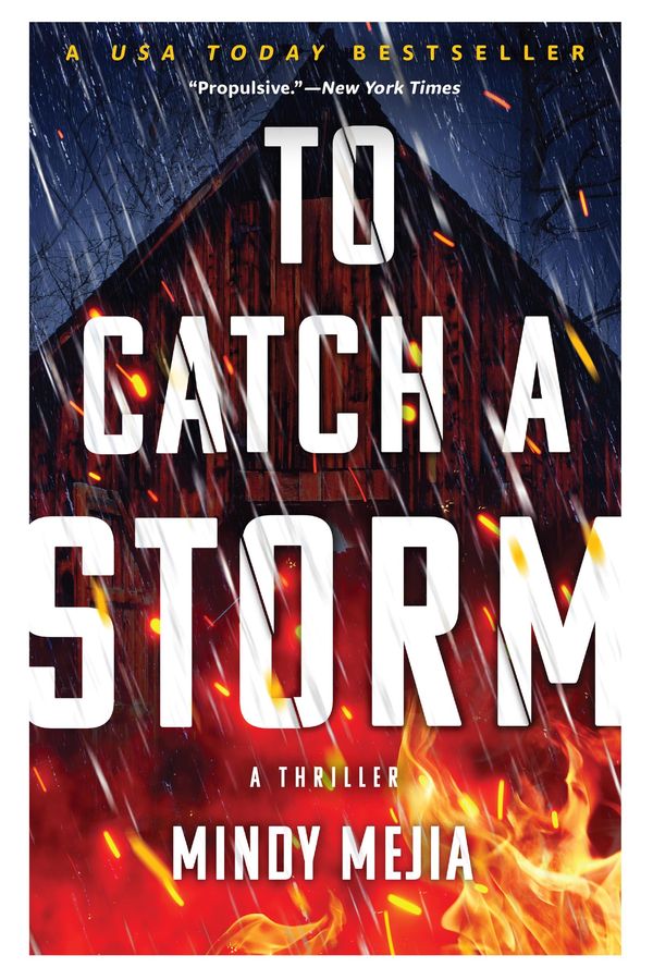 To Catch a Storm cover