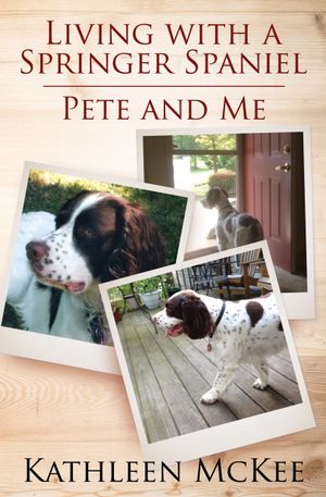 Living With a Springer Spaniel