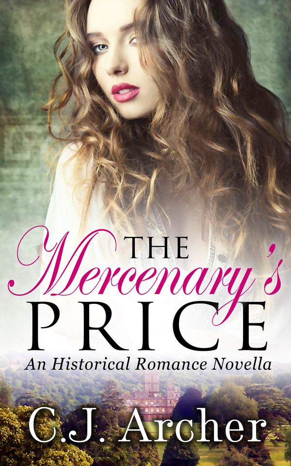 The Mercenary's Price Book Cover