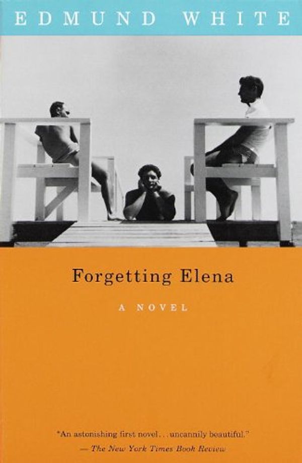 Forgetting Elena Book Cover