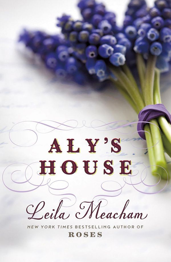 Aly's House Book Cover