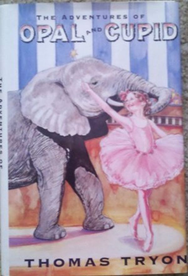 The Adventures of Opal and Cupid Book Cover