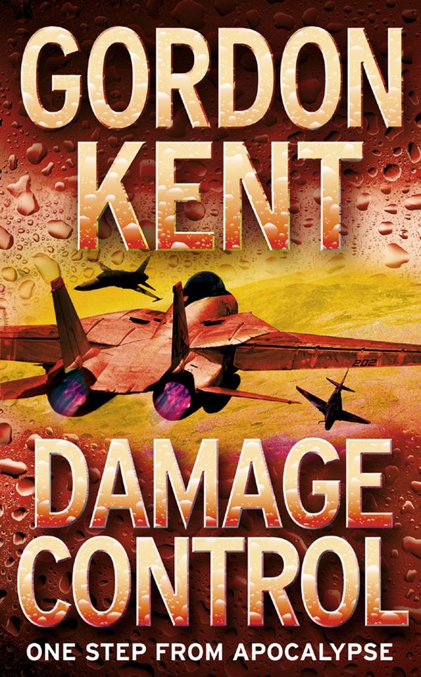 Damage Control Book Cover