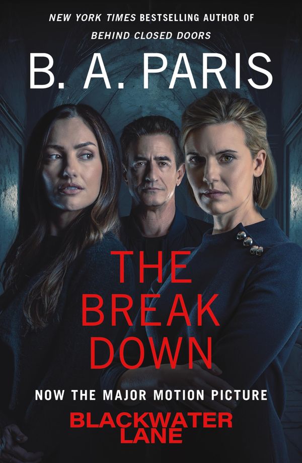 The Breakdown Book Cover
