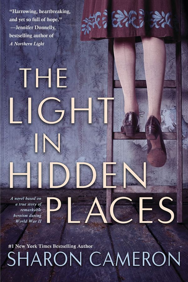 The Light in Hidden Places Book Cover