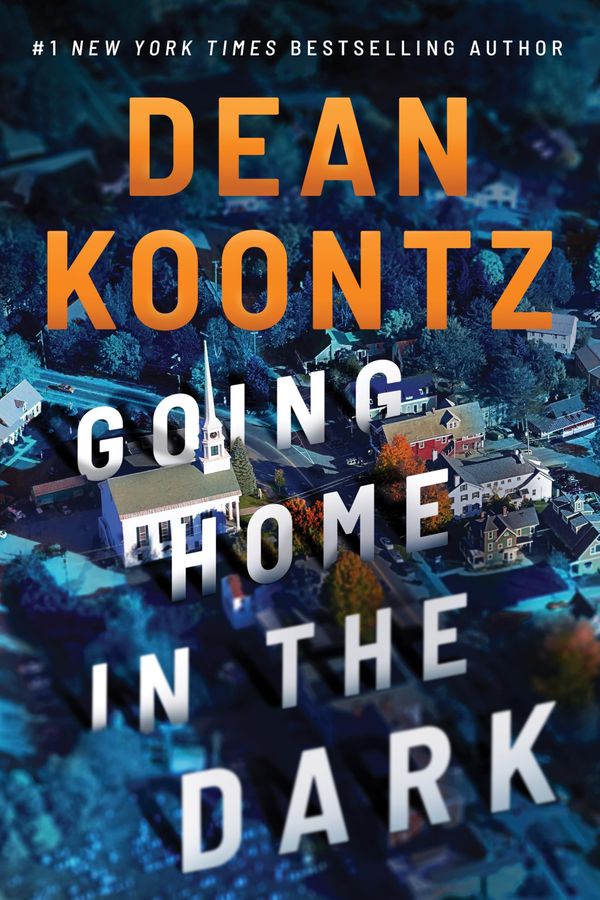 Going Home in the Dark Book Cover