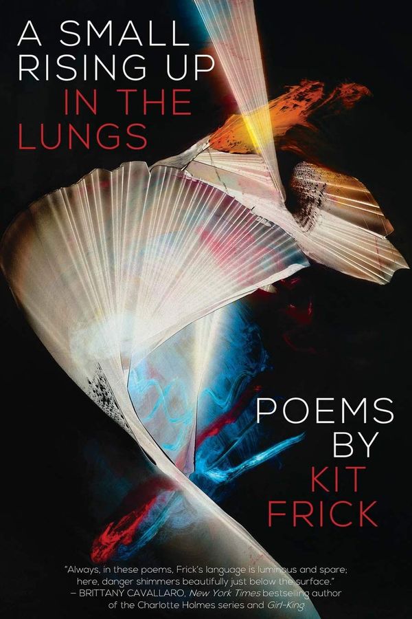 A Small Rising Up in the Lungs Book Cover