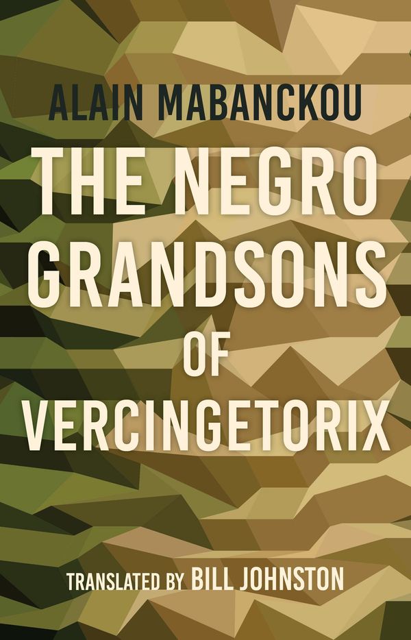 The Negro Grandsons of Vercingetorix Book Cover
