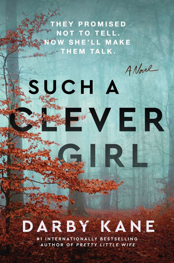 Such a Clever Girl Book Cover