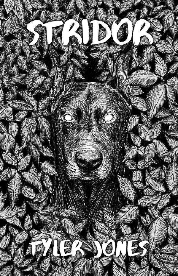 Stridor Book Cover