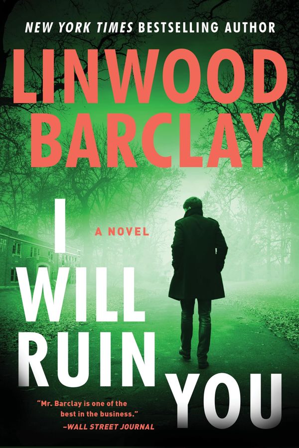 I Will Ruin You Book Cover