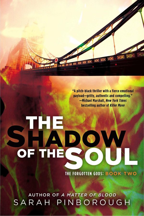 The Shadow of the Soul Book Cover