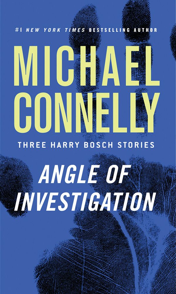 Angle of Investigation Book Cover
