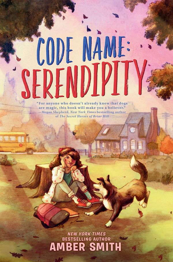 Code Name: Serendipity Book Cover