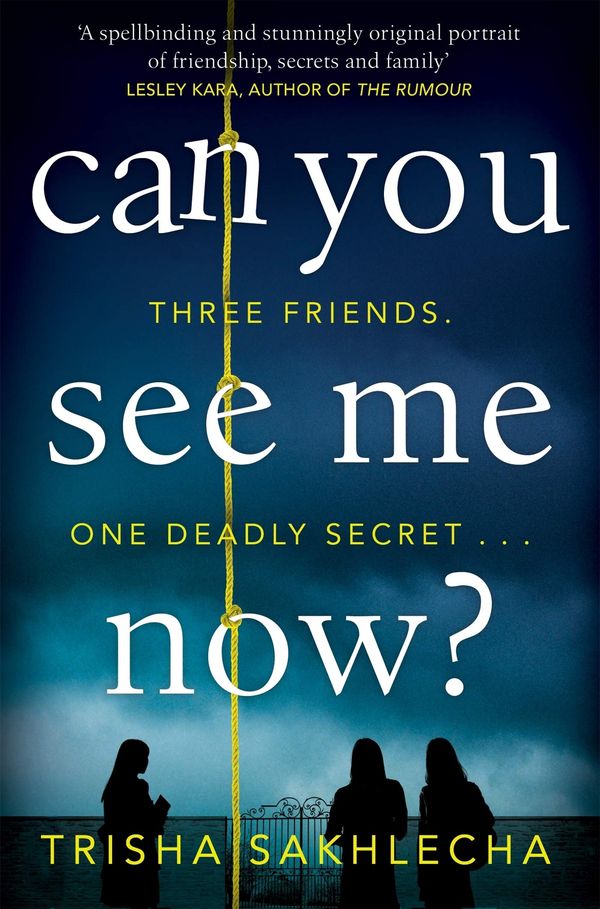 Can You See Me Now? Book Cover