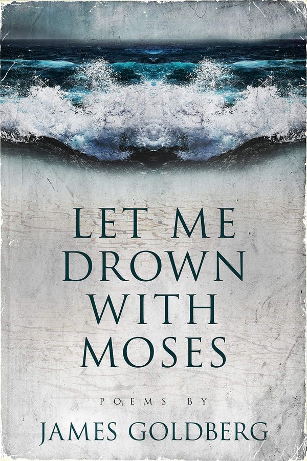 Let Me Drown With Moses Book Cover