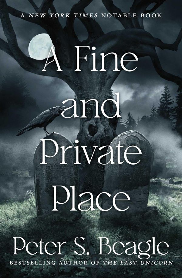 A Fine and Private Place Book Cover