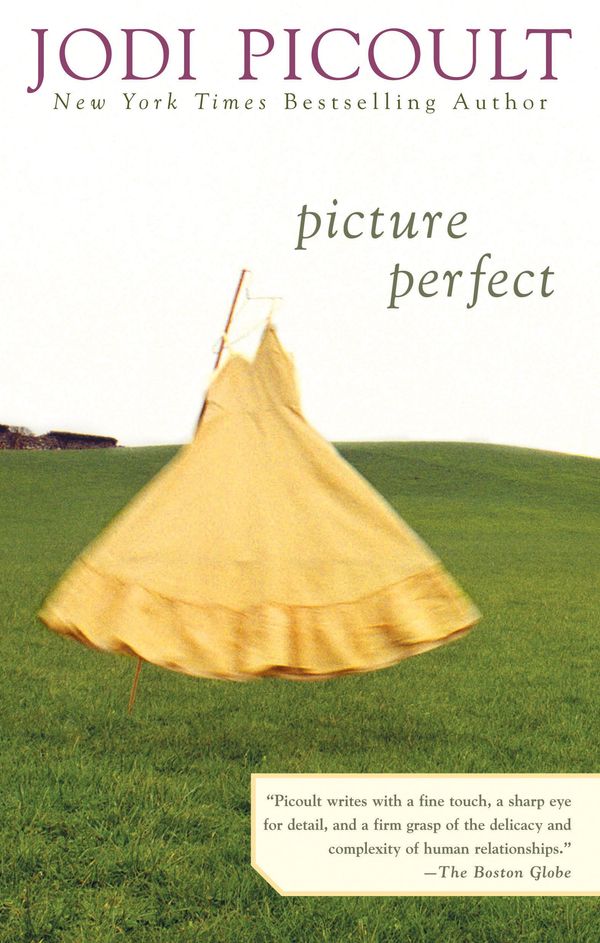 Picture Perfect Book Cover