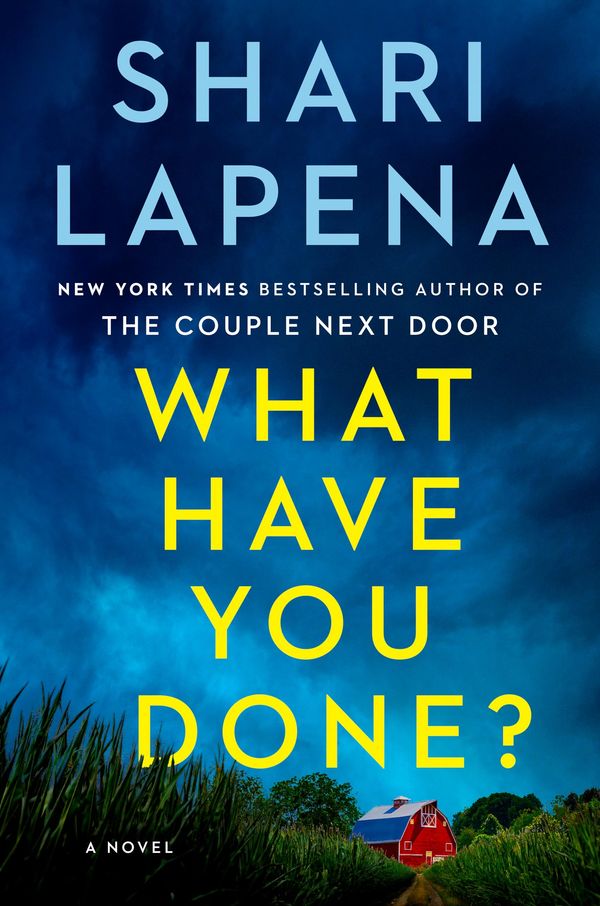 What Have You Done? Book Cover