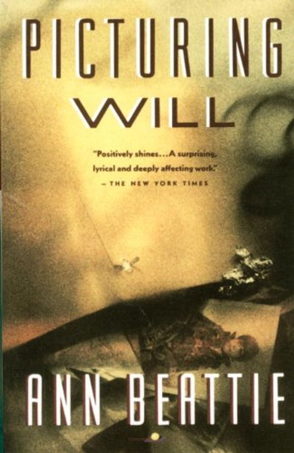 Picturing Will Book Cover