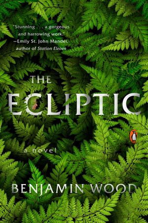 The Ecliptic