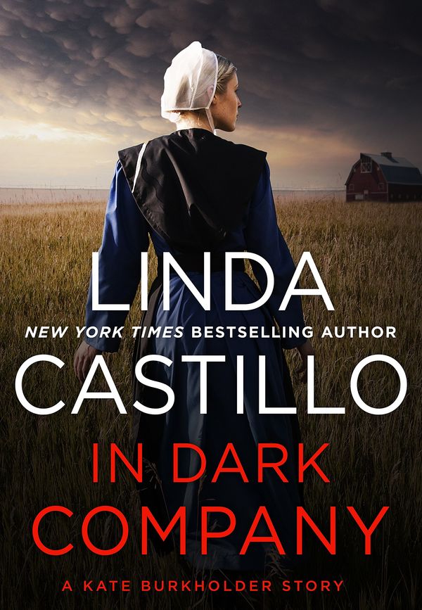 In Dark Company Book Cover