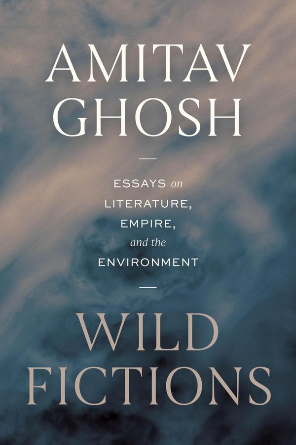 Wild Fictions Book Cover