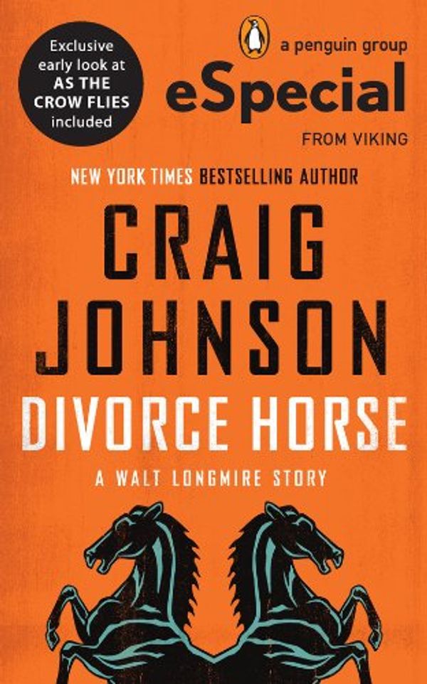 Divorce Horse Book Cover