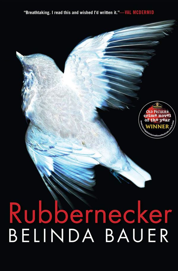 Rubbernecker Book Cover