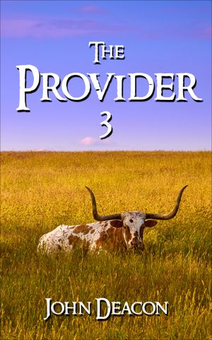 The Provider 3
