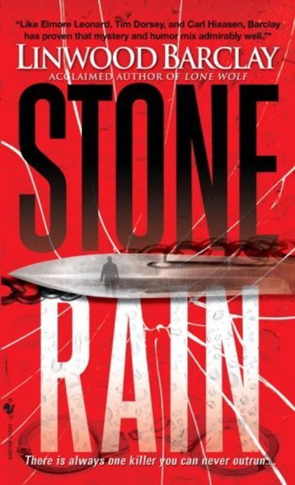 Stone Rain Book Cover