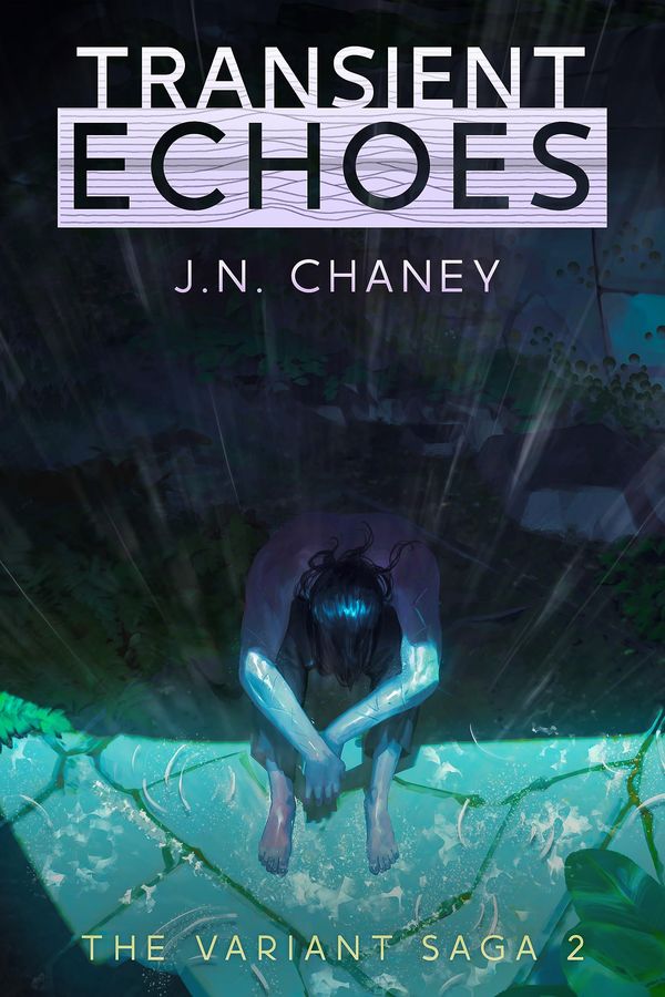 Transient Echoes Book Cover