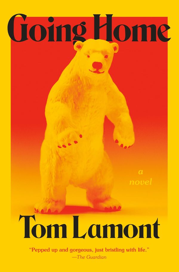 Going Home Book Cover