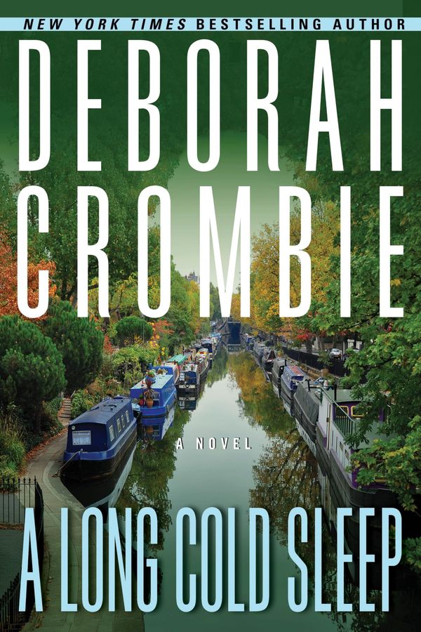 A Long Cold Sleep Book Cover
