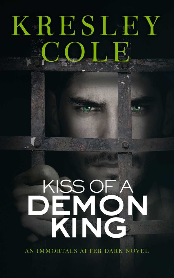 Kiss of a Demon King Book Cover