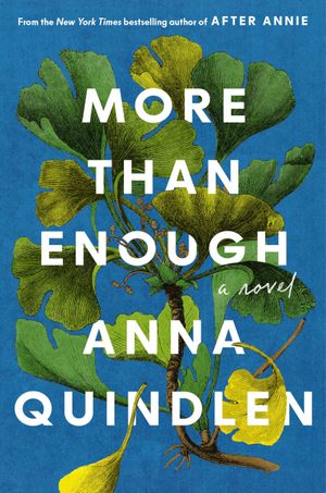 More Than Enough Book Cover