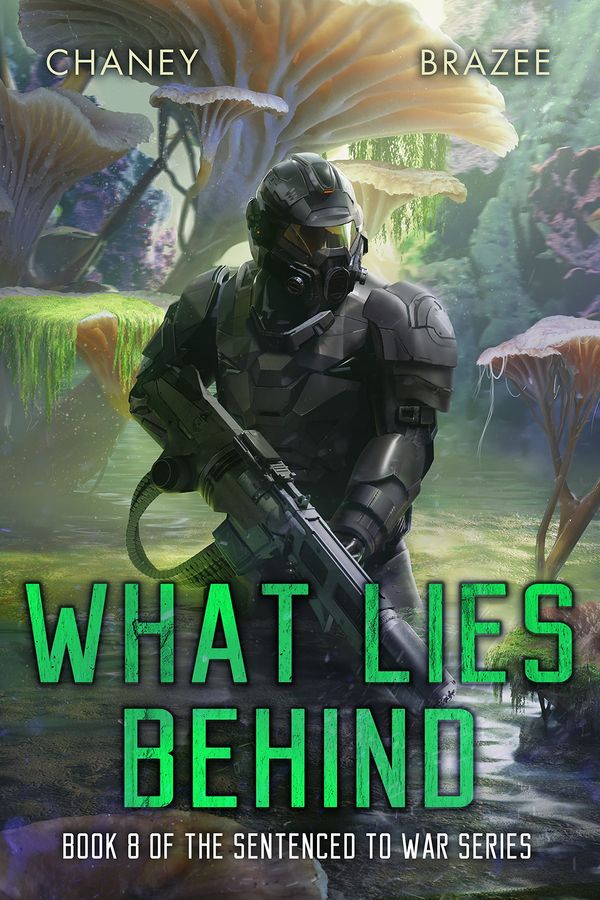 What Lies Behind Book Cover