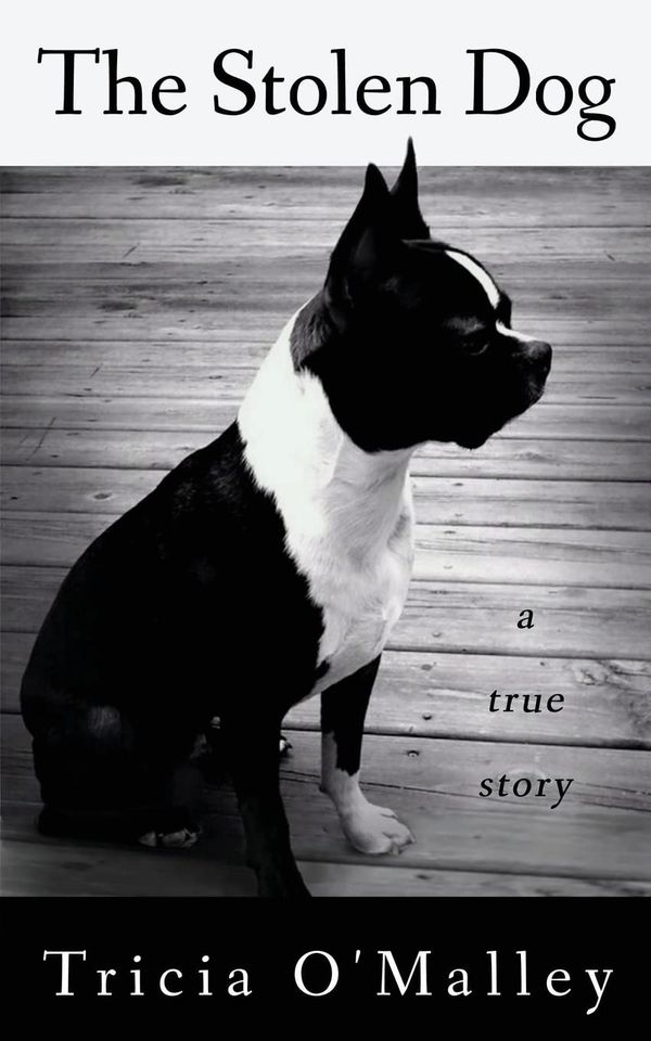 The Stolen Dog Book Cover