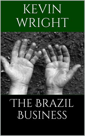 The Brazil Business