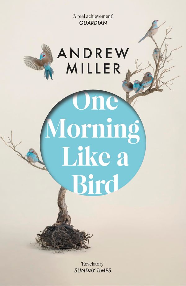 One Morning Like a Bird Book Cover