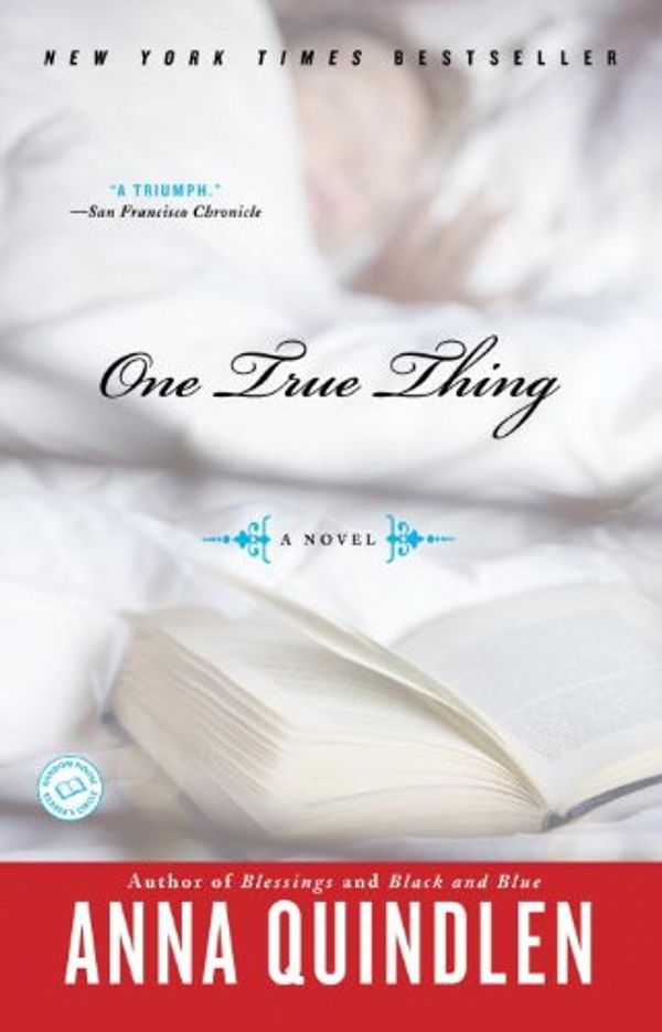 One True Thing Book Cover