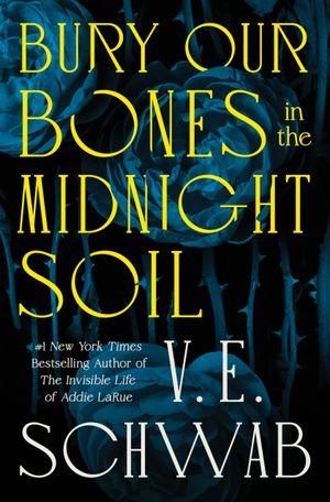 Recent book by V. E. Schwab