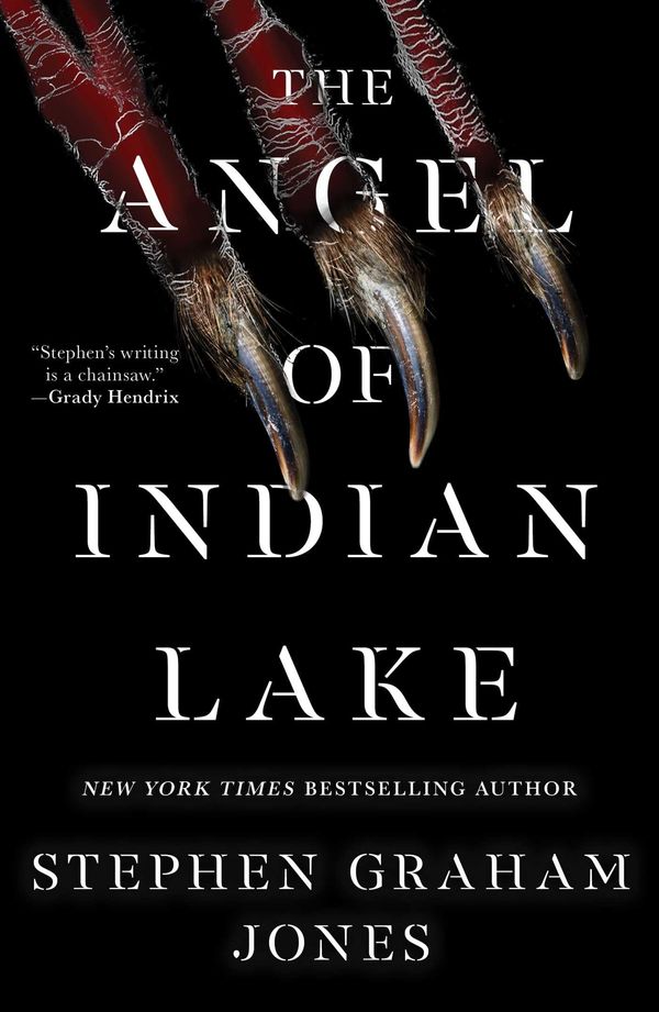 The Angel of Indian Lake cover
