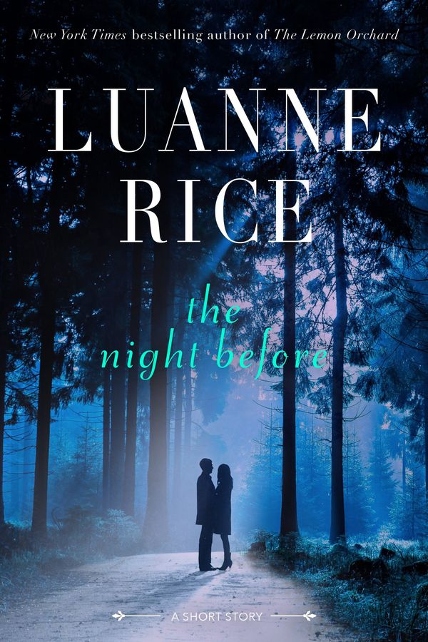 The Night Before Book Cover