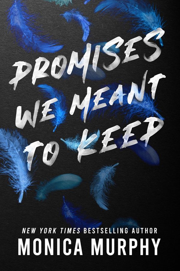 Promises We Meant to Keep cover